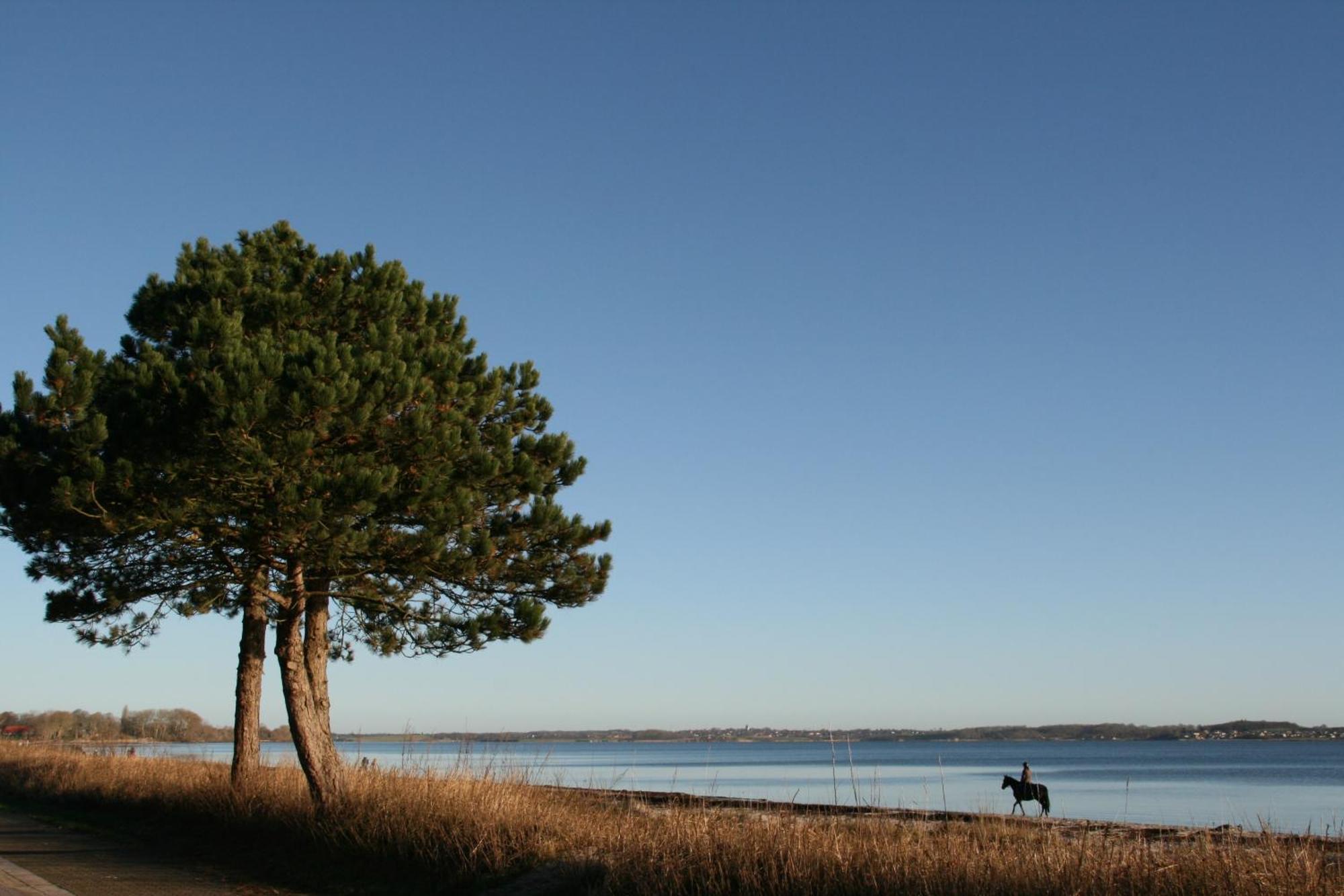 Ostsee-Strandhaus-Holnis Glücksburg Exterior foto